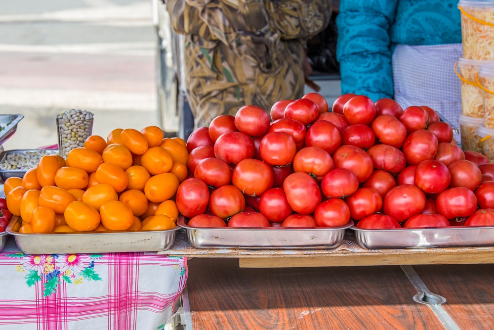 Владивостокских дачников учат получать богатый урожай
