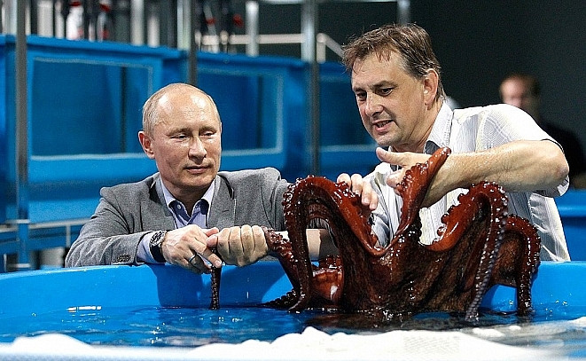 Суд не пожалел строителя Приморского океанариума