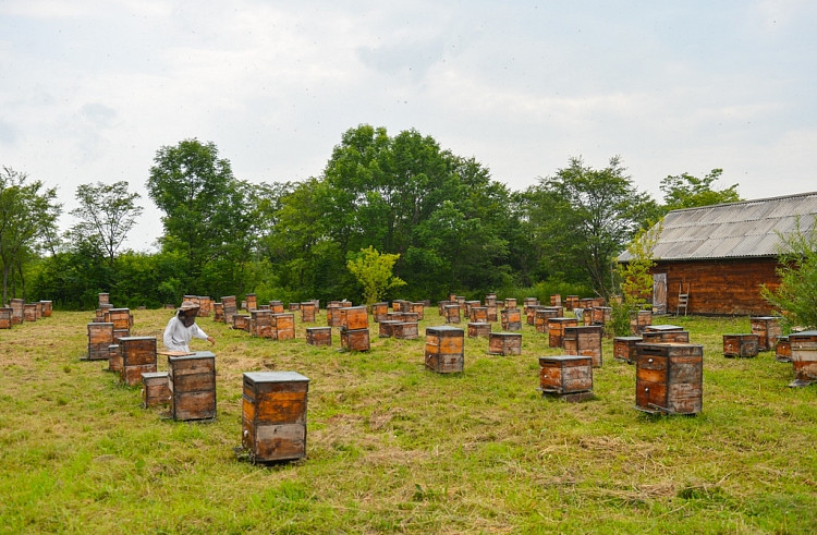 В Приморье посчитали фермеров 