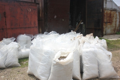 Полтонны конопли подвели мужчину под статью