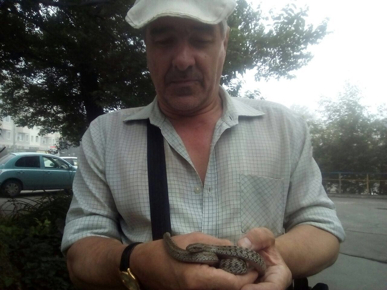 Укус змеи: как помочь