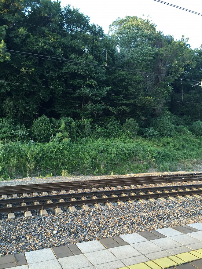 Авария на железной дороге - движение перекрыто