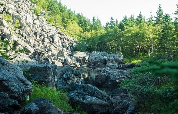 Уникальные артефакты обнаружили в Приморье