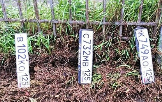 Дожди во Владивостоке: автомобилисты собирают номера