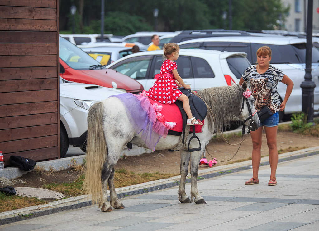Лошади представляют опасность для жителей Владивостока