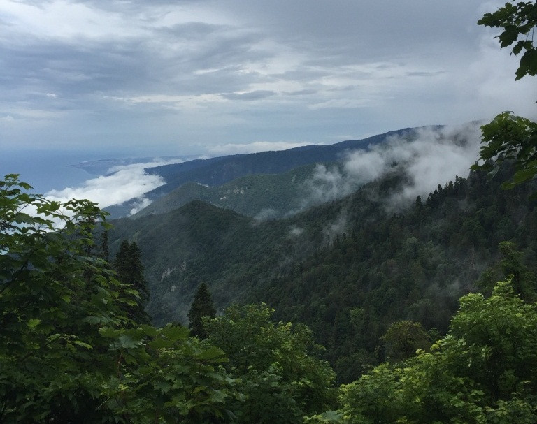 Россияне променяли Таиланд на Кавказ