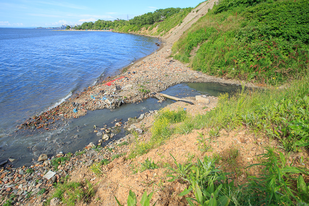 Иностранцы очистят Владивосток от мусора