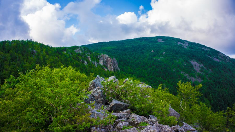 На сохранение памятников природы в Приморье потратят 2 миллиона