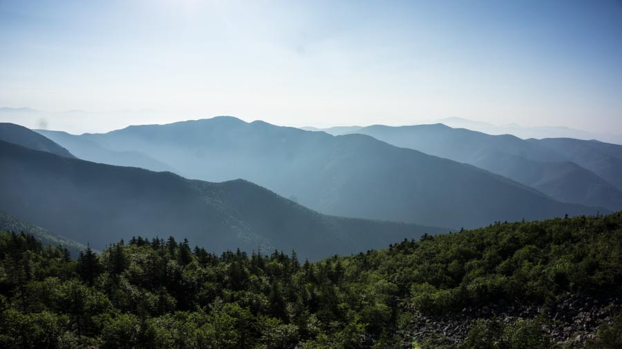 Качество якутских гектаров вызывает вопросы