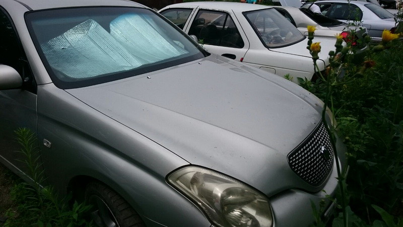 За распил приморец может сесть на 2 года