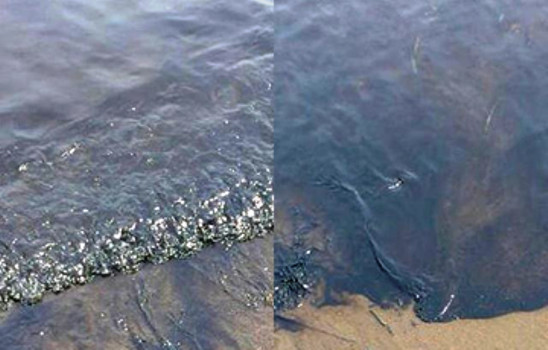 Росприроднадзор не увидел нефтяные пятна в бухте Аякс