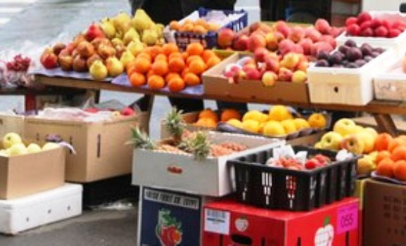 Лучших садоводов Владивостока наградят сертификатами