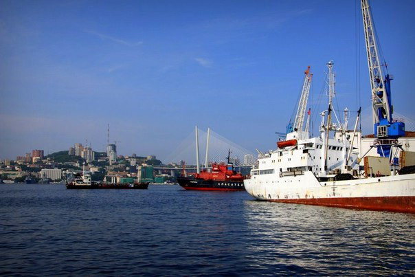 Уникальных светящихся рыб обнаружили в 3 океанах