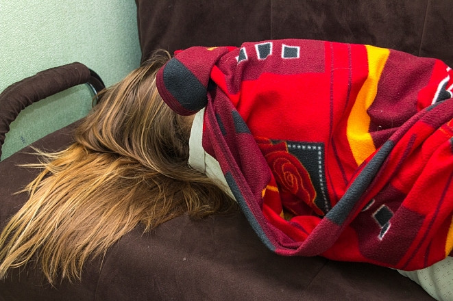 За игру в прятки штрафуют в Приморье