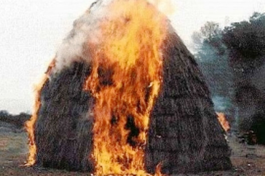 С огнем в Приморье не могли справиться 3 часа 