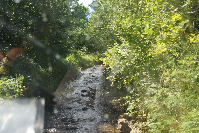 Мужчина таинственно исчез в тайге 