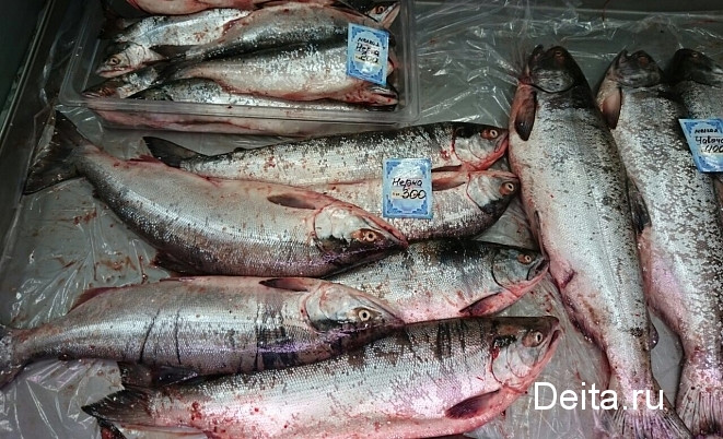 Двух иркутских браконьеров поймали на Сахалине