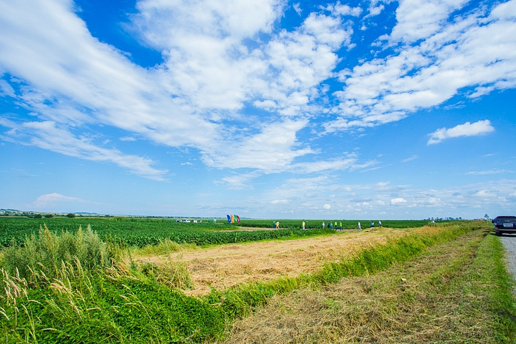Названа причина разрушения почвы России