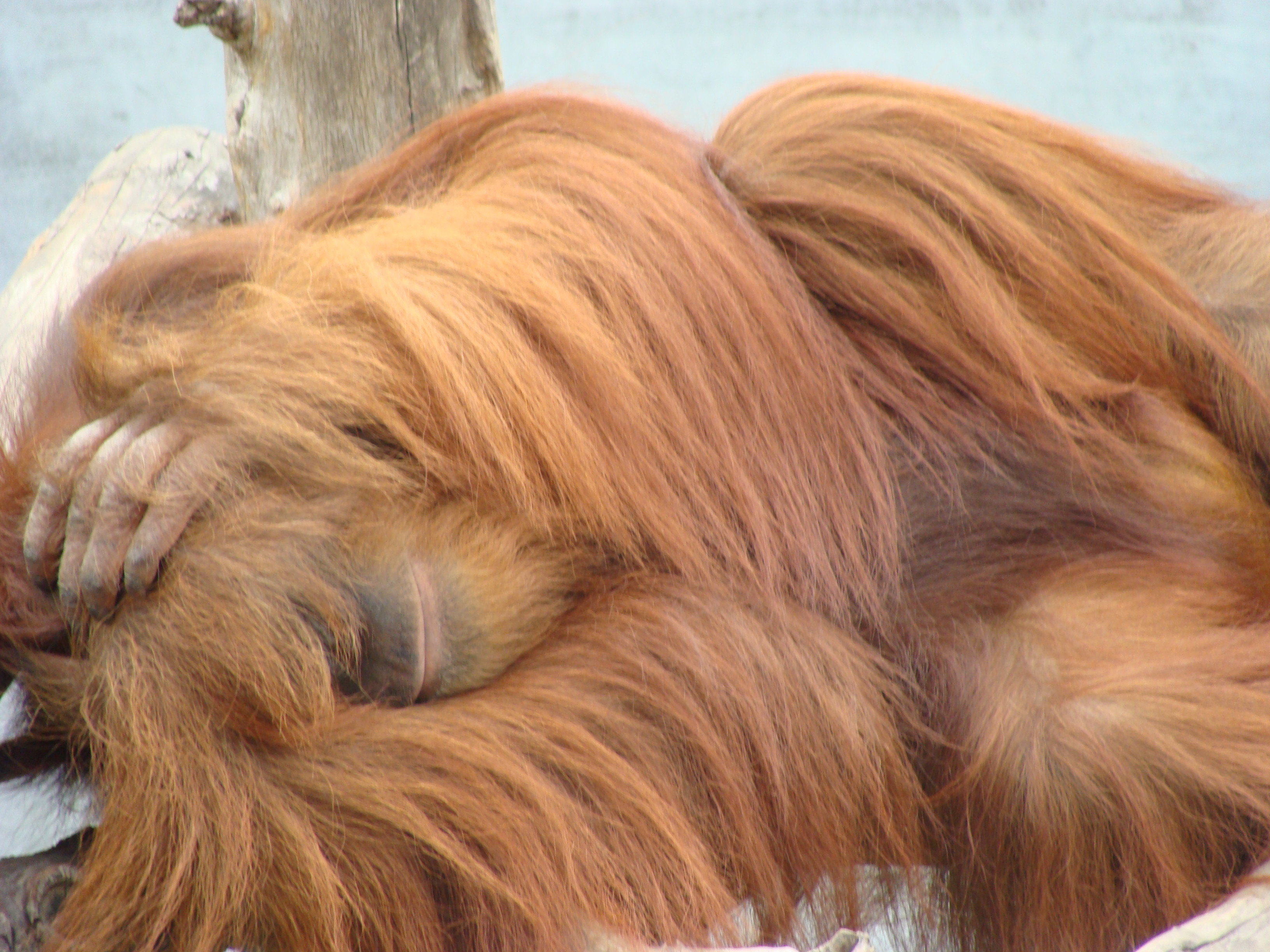 Любви с первого взгляда не существует
