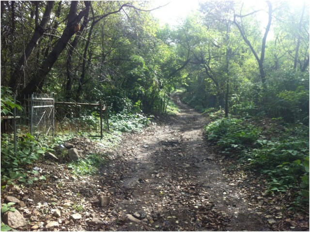 Мужчины умирают в 4 раза чаще женщин