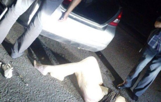 Труп в багажнике обнаружила автомобилистка