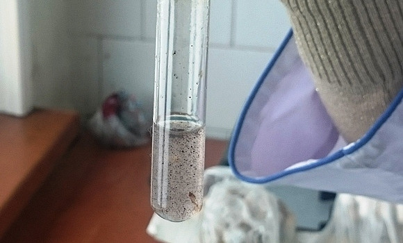 У бактерий тоже есть секс 