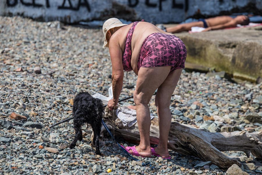 Законодатели хотят воспитать собак