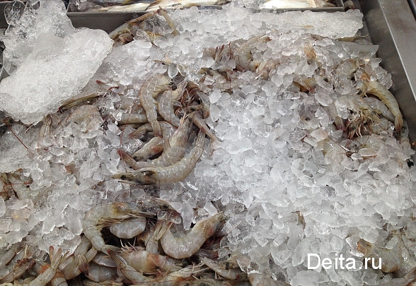 Приморцев кормили опасными морепродуктами