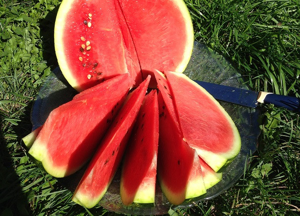 Приморье завалено арбузами