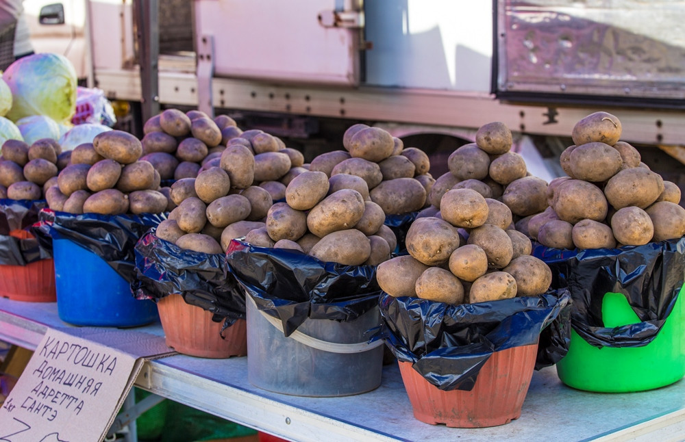 В Приморье не пустили немытый картофель