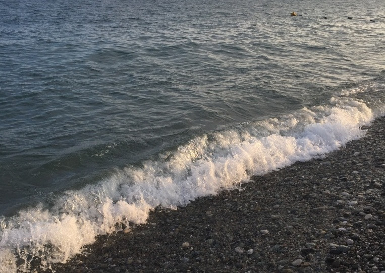 Ученые обнаружили новый риф