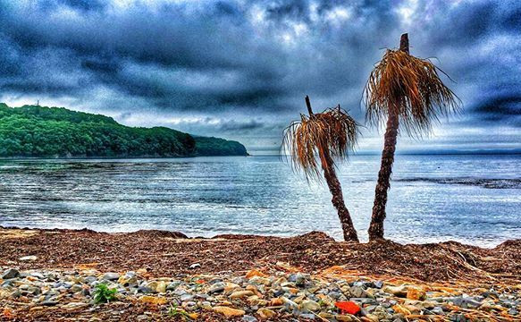 Отдыхающих попросили уехать с моря 