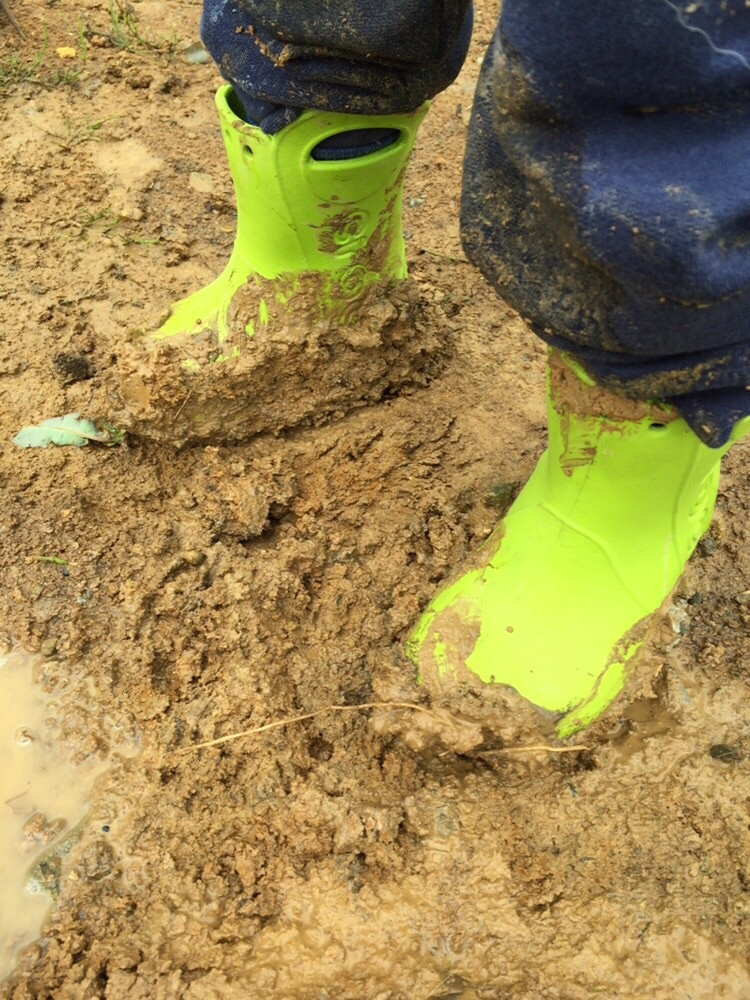 Урожай от тайфуна надеются уберечь