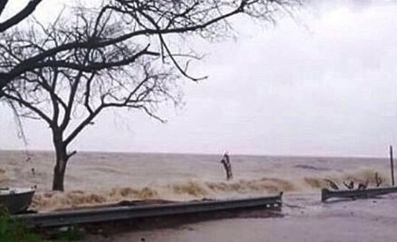 Лайонрок подошёл к Приморью