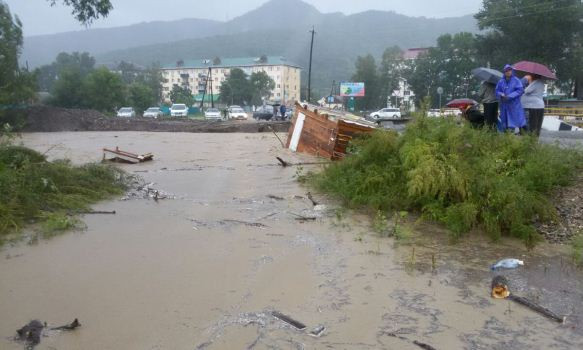 Приморье бьется с Лайонроком