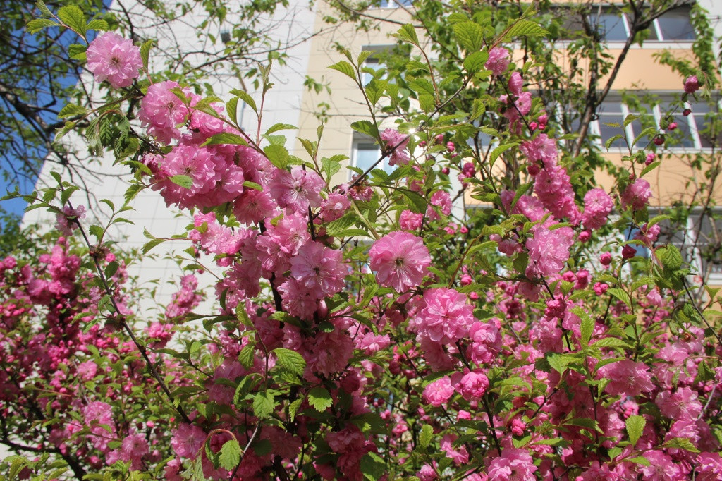 Счастье замечают в 90 лет