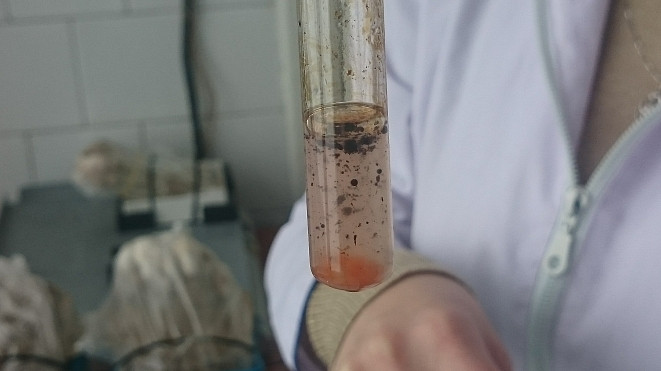 Ученые создали аналог печени