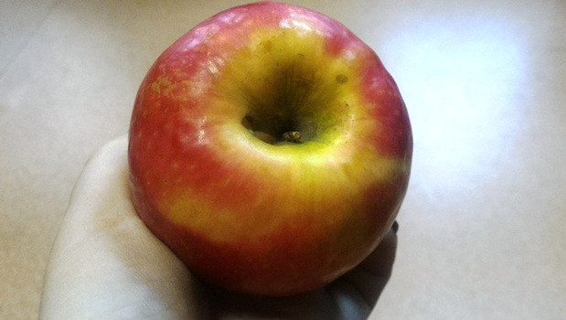Яблоки продлят жизнь на 17 лет