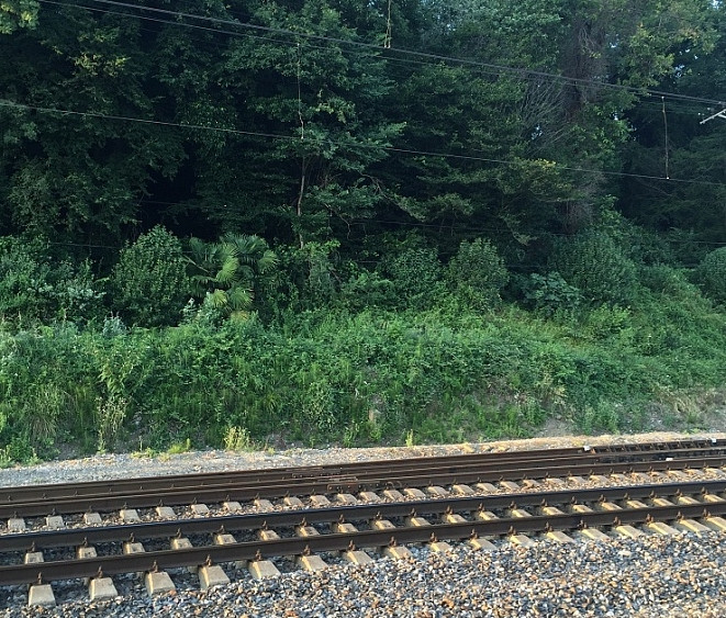 Локомотив и 4 вагона сошли с рельсов на Сахалине