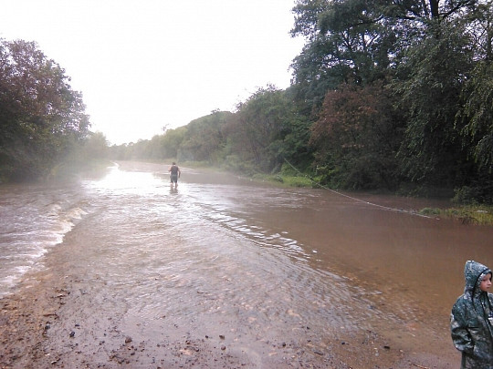 Мошенники приготовились ловить рыбку в мутной воде Лайонрока
