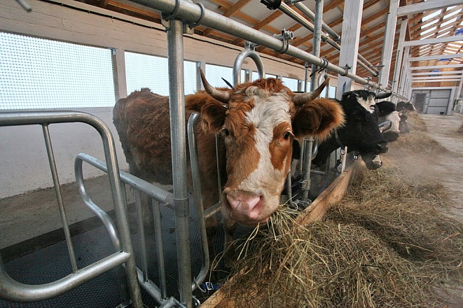 Роды и полнолуние связаны между собой 