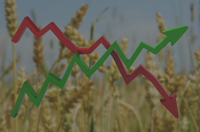 Центробанк поднял доллар и евро