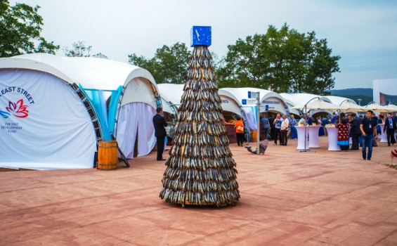 ЕЛКА заготовка