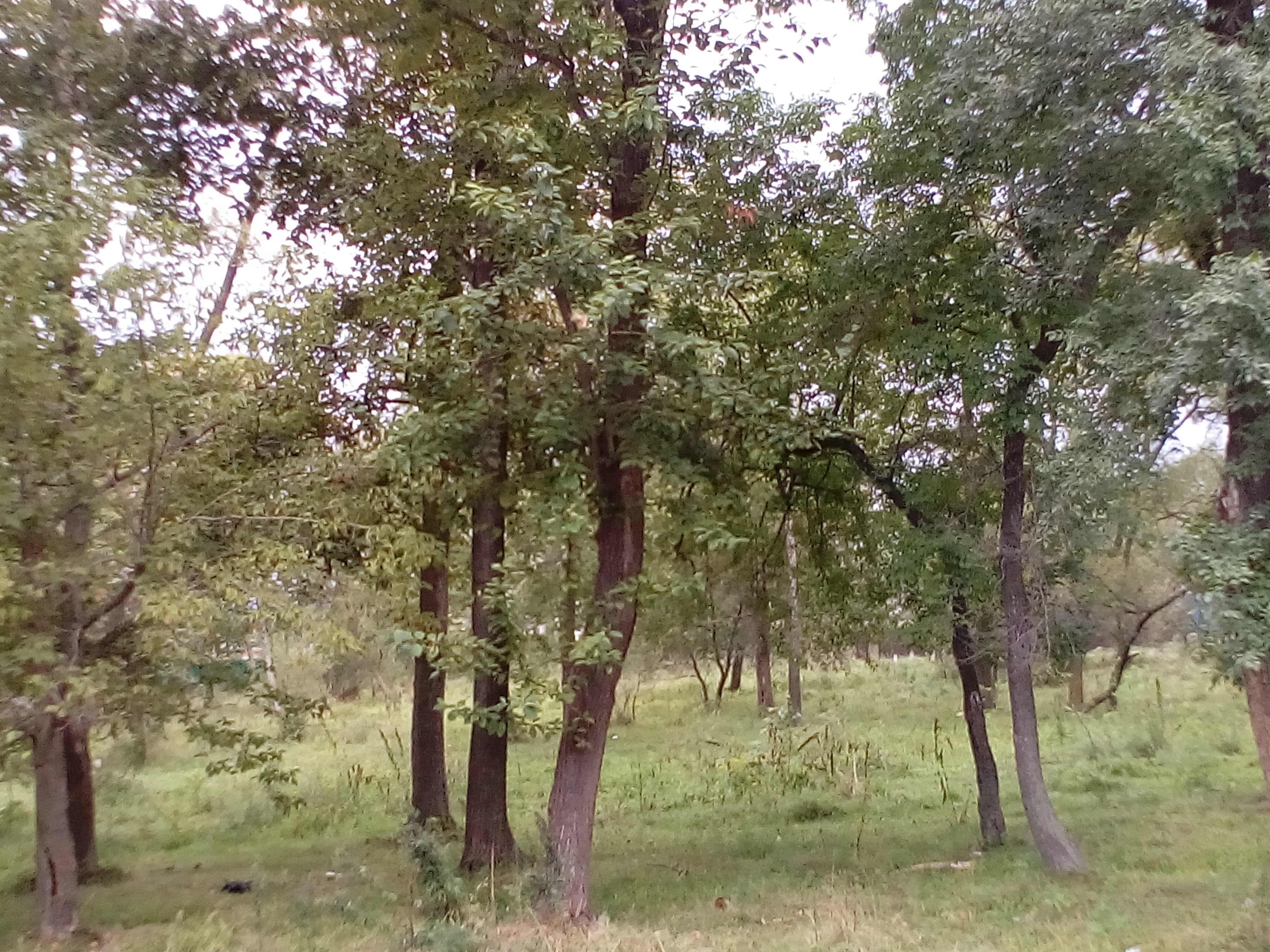 Потерявшихся детей нашли