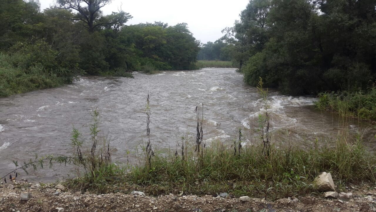 Лесорубы потерялись в Ольгинском районе