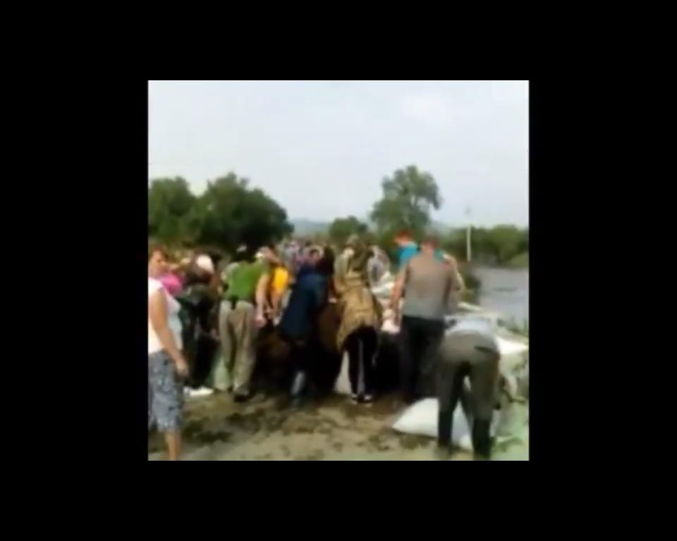 Приморцы спасаются от воды(видео)