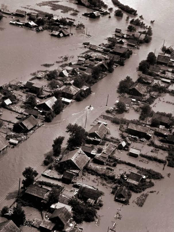Лайонрок переплюнул Джуди
