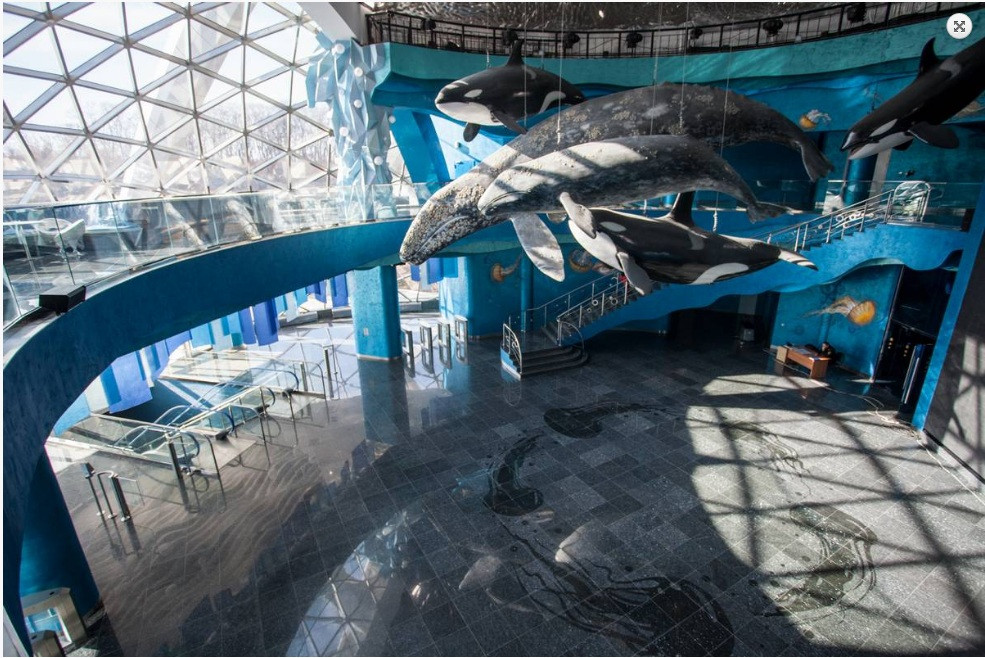 Открытие океанариума во Владивостоке омрачилось сообщением о бомбе