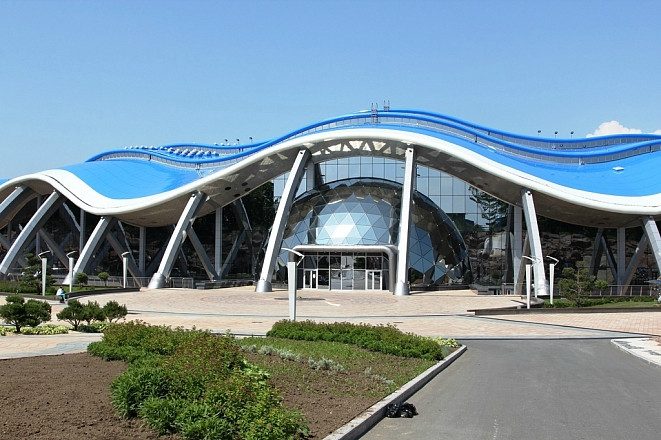 В первый день в Океанариум придет более 500 приморцев 