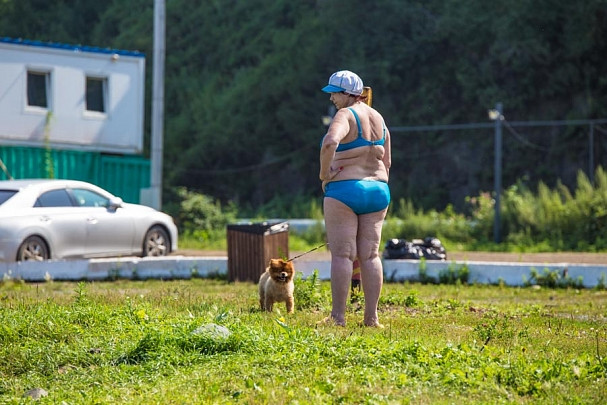 Породистым животным Китая нужна свежая кровь